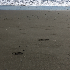 ただ、見るだけで気づくことの画像