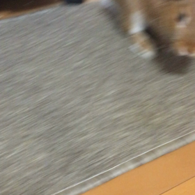 偶然の画像