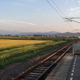 懐かしの特急に遭遇の画像