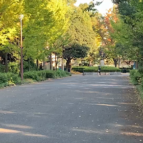 記録会 女子Dグループ④の画像