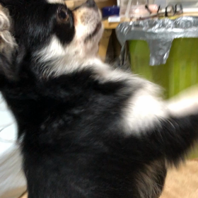 風呂上がりの画像