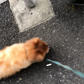 もう、寝ていられない！  する事ない。の画像