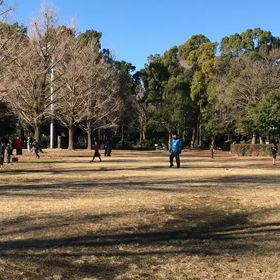 航空公園練習 ジャベリックボール投げ⑤の画像