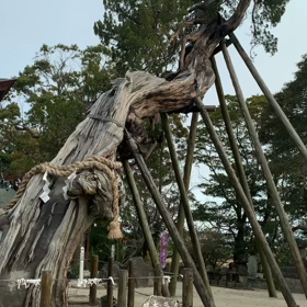 新しいスタート✧︎*。の画像