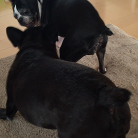 静かな戦いの画像