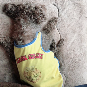 今日は朝から雨の画像