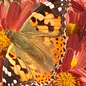 この記事の画像