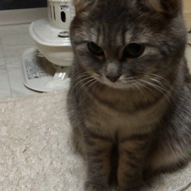 今日のぱんこさんの画像