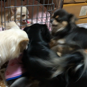 キャンディです♡の画像