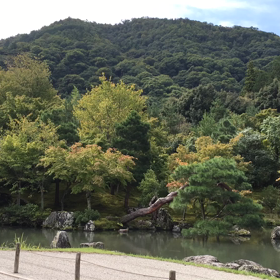曹源池庭園の画像