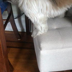 Alive がん患者のカルテ　第8話の画像