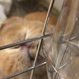 細かいことは気にしないタイプの画像