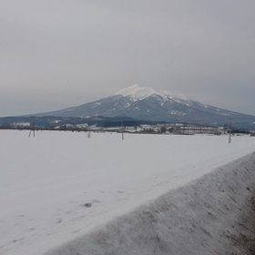 パラオについてパート４の画像