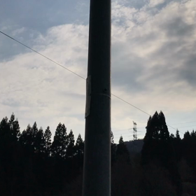 4/3満開の城山桜と、駐車場付近の桜ですの画像