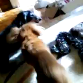 ハシャグ(／▽＼)♪の画像