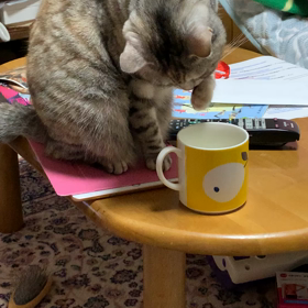 牛乳、美味しい～の画像