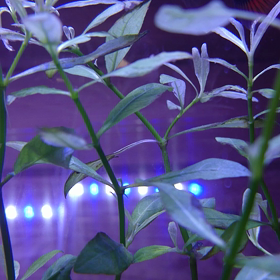 産まれる瞬間の画像