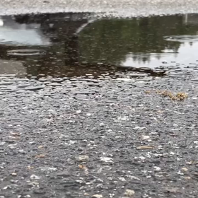 2021年5月1日（土）今朝のおわらサーキットの画像