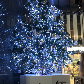 気分だけの画像