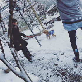 ふぶく…の画像