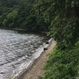 数日前の琵琶湖。の画像