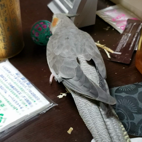 かなぁ～で！の画像