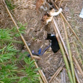 後悔先に立たずの画像