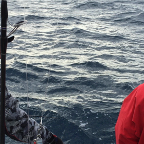 コーチングの画像