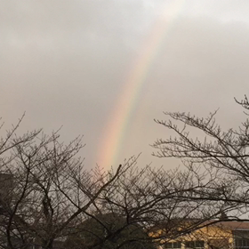 にじの画像