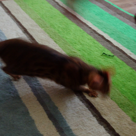 ラジオ体操の画像