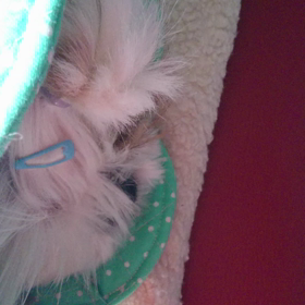 そらの寝言の画像