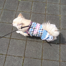 仕事サボリでしょうかね(爆)の画像