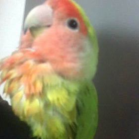 水浴び♡の画像