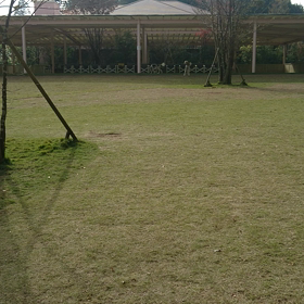 定休日ビゼーのへっぴり腰の画像