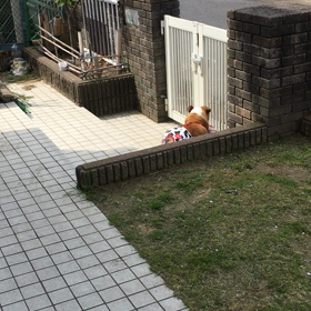 げんきん？の画像