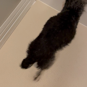 母大勝利の画像