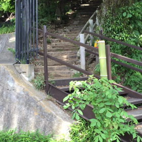 ８２＄の巻の画像