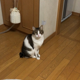 めんどくさい事を何故かやめれない。デールに呼ばれて…の画像