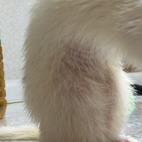 夜のあーちゃんの画像