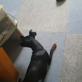 ビビりまくり❗の画像