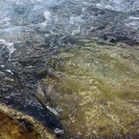 上高地よりの画像