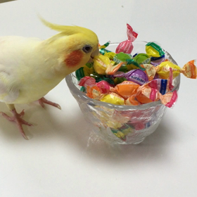 お菓子を食べたいマシュマロ君♡の画像