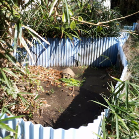 目覚め1号の画像