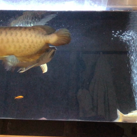 久しぶりに！の画像