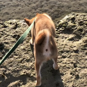 偉大な一歩の画像