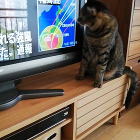 天気どうかな…の画像