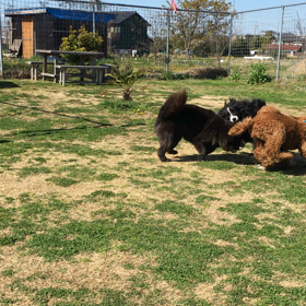 仲間にはいってるつもり〜〜♪の画像