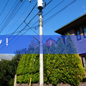 グワシッ！の画像