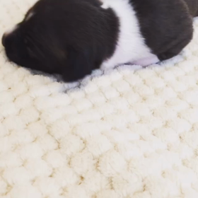 初対面♡の画像