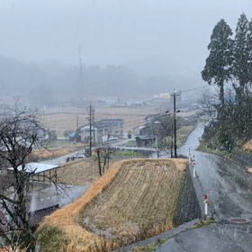久し振りの雪の画像